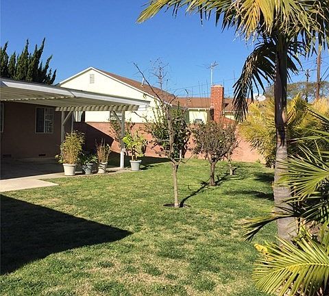 Spacious backyard includes mature fruit trees
