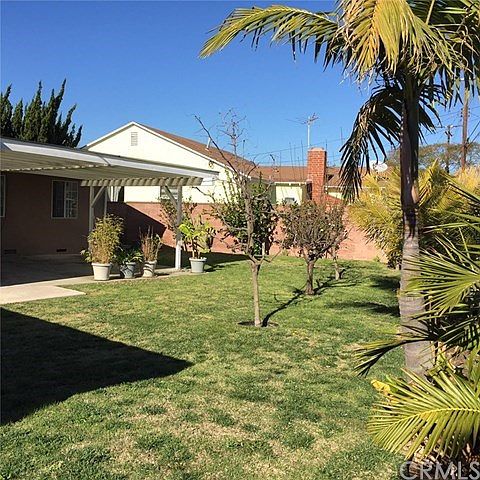Spacious backyard includes mature fruit trees