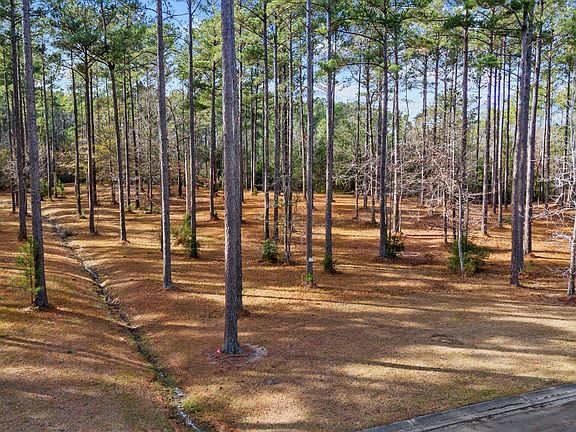 2nd image of 137 Ocracoke Drive Lot 31