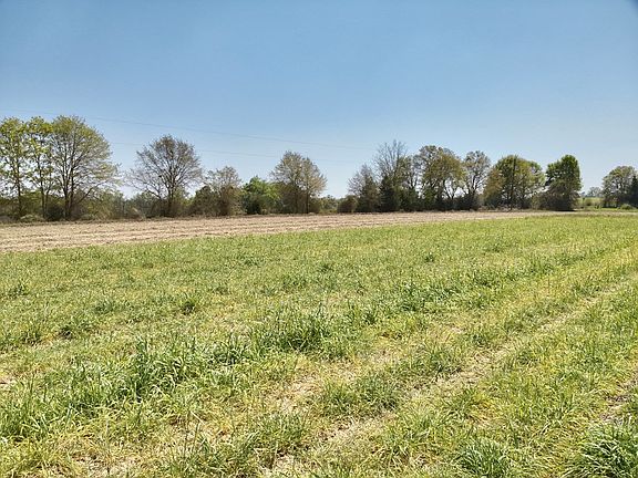 5th image of Dillard Rd