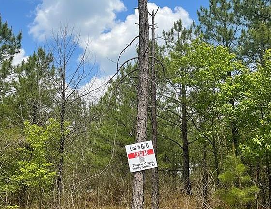 4th image of 670 Timber Creek Trl