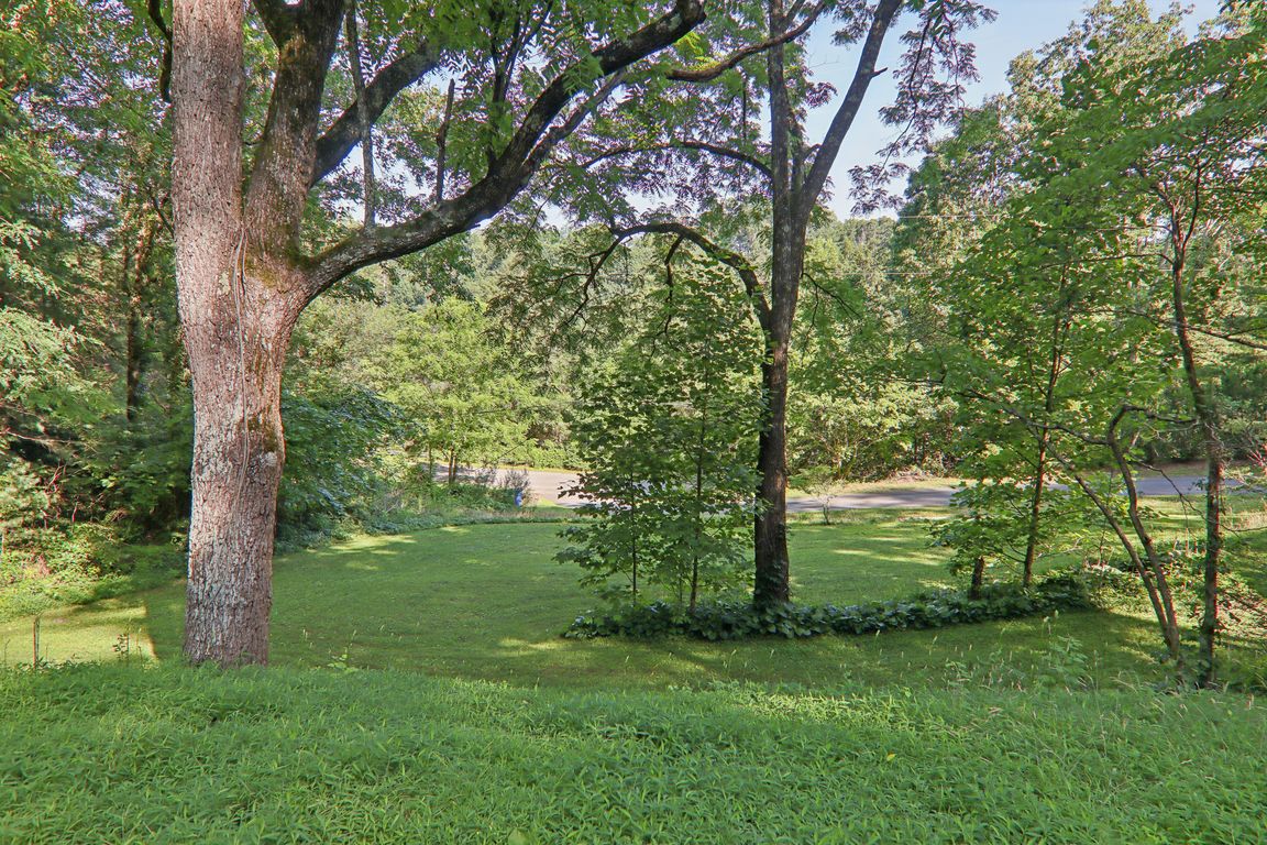 Saunooke Rd-2106-053.jpg