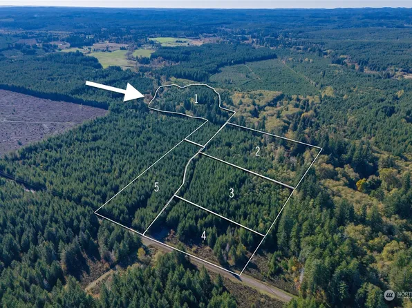 15 xx W Ford Road LOT1, Matlock, WA 98560