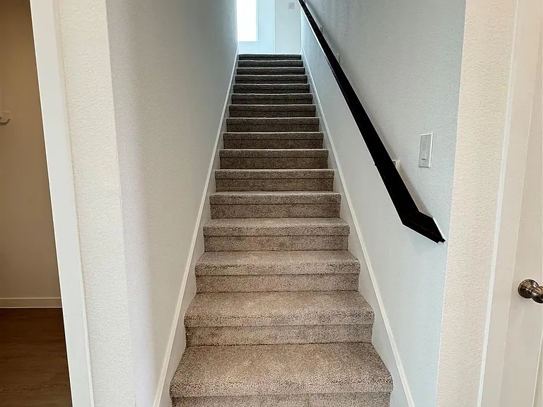 6423 Green Pedal Ln — Photo 19