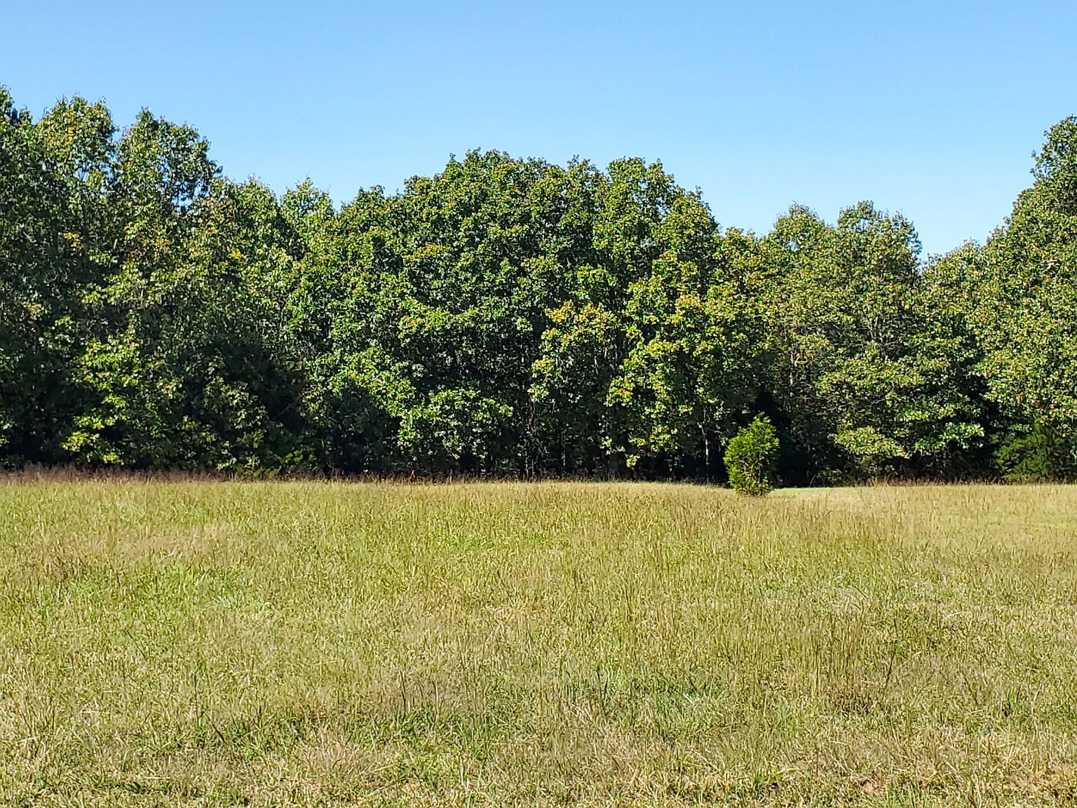 000 Whitetail Lane, Pontiac, MO 65729 MLS 60254745 Zillow