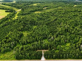 20 Acres Adams Road, Bruce, WI 54819