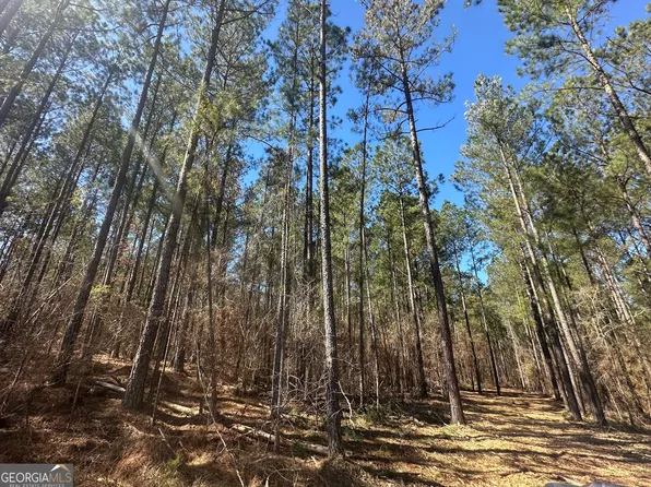 0 Faulkner Rd Lot 5, Monticello, GA 31064