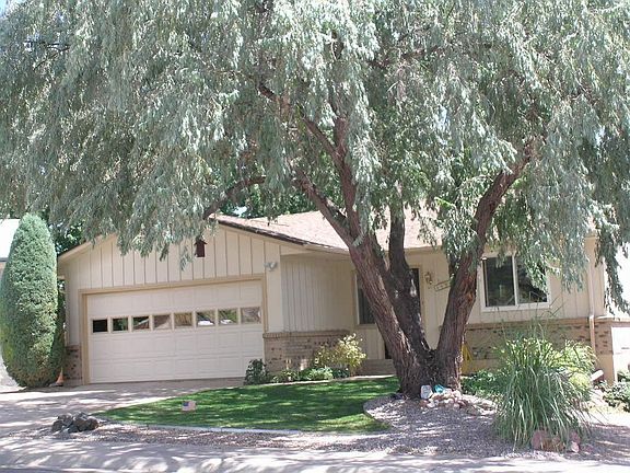 Shaped Russian-Olive