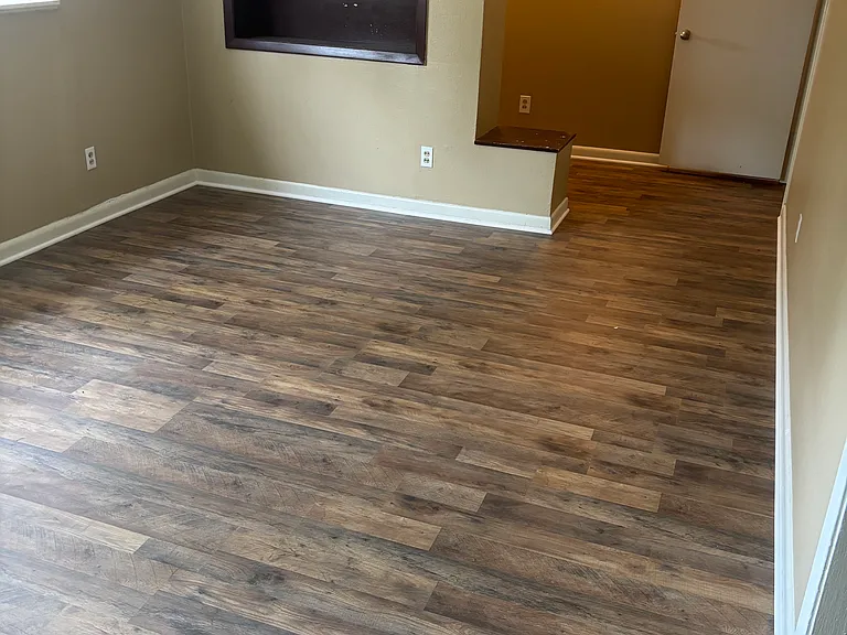 1511 Anita St — Photo 3