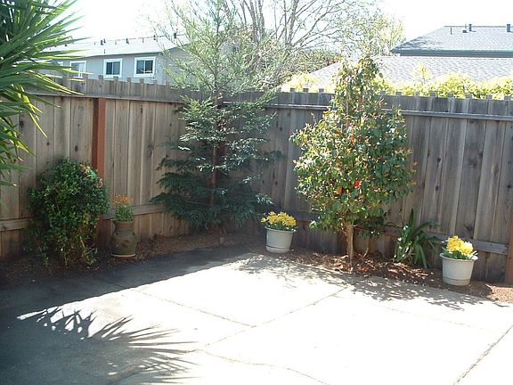 Bright Sunny Yard