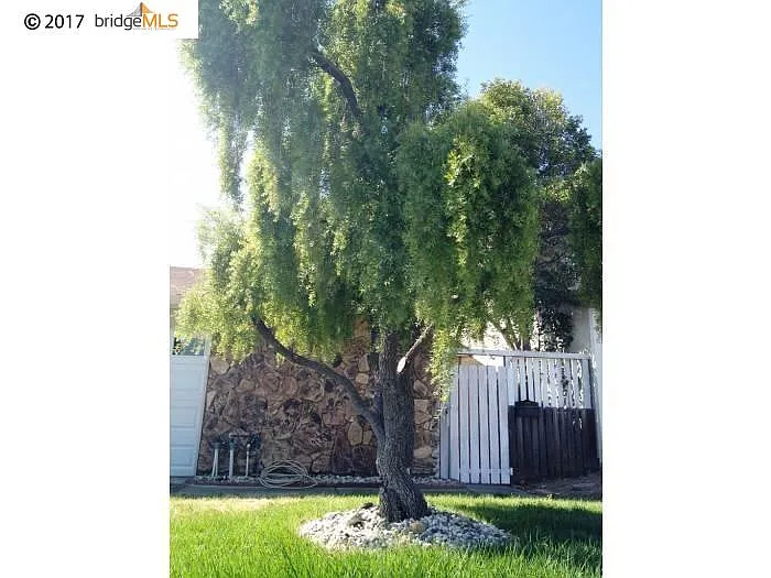 3249 Madrone St photo 1