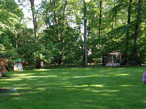 The back yard in the summer