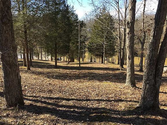 3rd image of 303 Elk Lake Dr