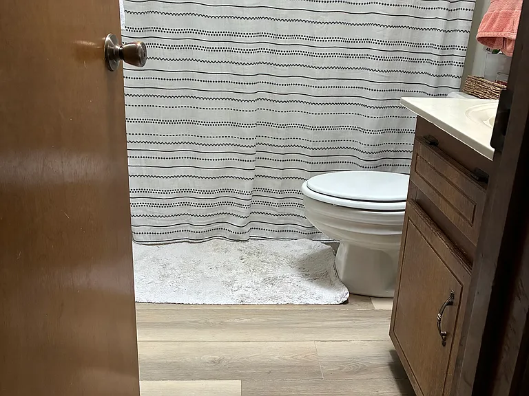 Hallway bathroom