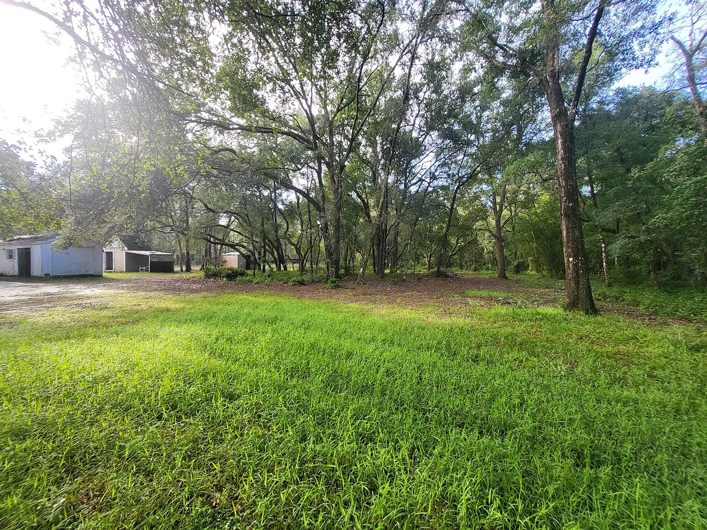 Big 3-bedroom, 2-bath home on 3 acres of fenced land! — Photo 3