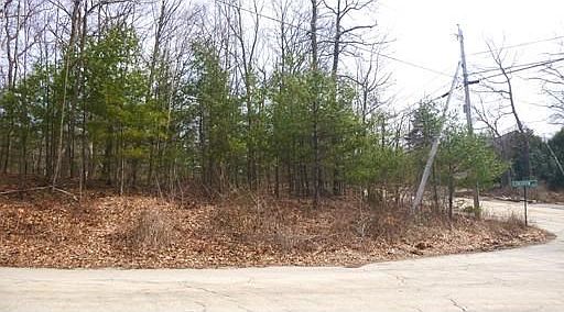 2nd image of Lowr Gore Rd