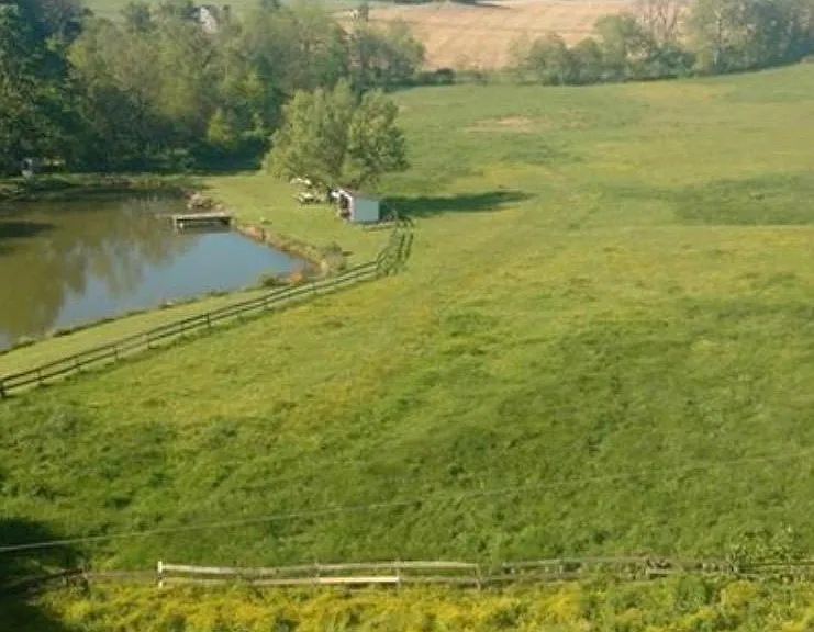 Pond view