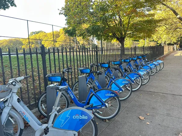 1487 Prospect Place image 10 of 16