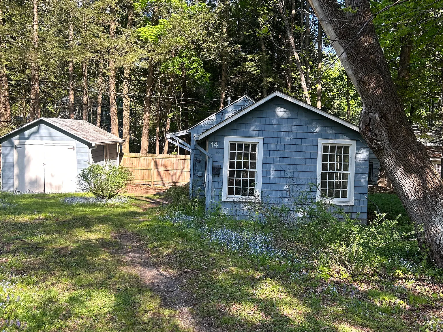 1 bed, 370 sqft, $1,800 — Photo 4