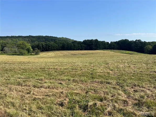 31 Autumn Ridge Dr, Elsberry, MO 63343