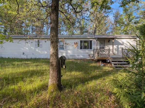 11884 N Brooks Rd, Irons, MI 49644