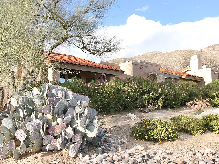 7601 N Calle Sin Envidia #37 — Photo 6