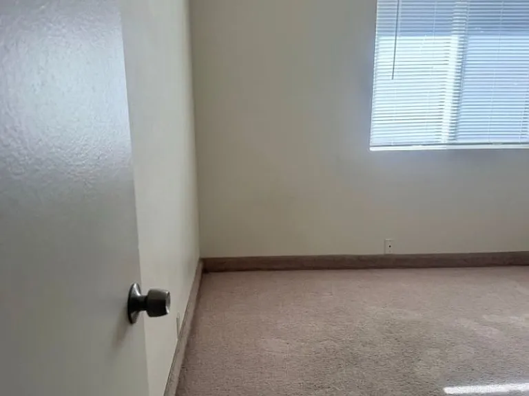 1227 Pinecone Dr — Photo 13