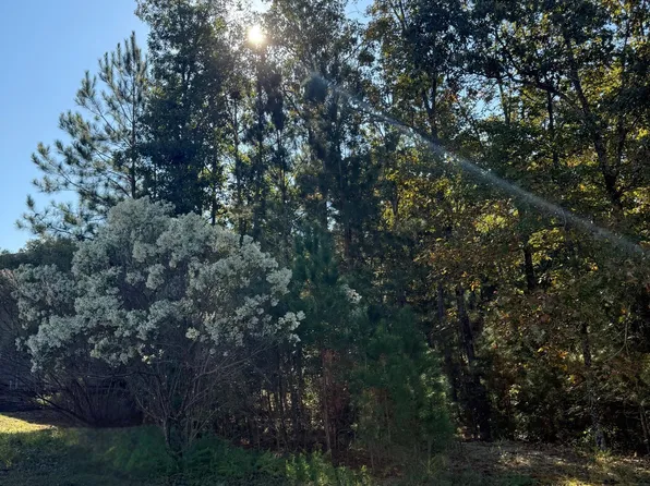 761 Carolina Aster Dr, Blythewood, SC 29016