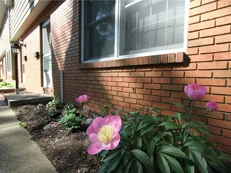 298 Mentor Ave — Photo 1
