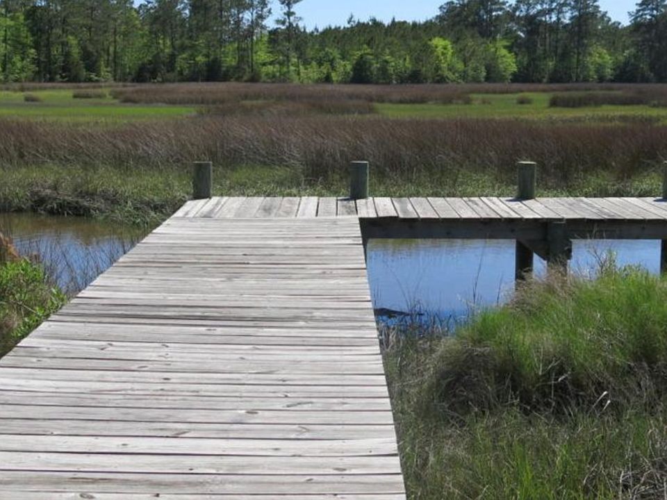 Dock on property with view 