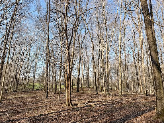 39th image of this home