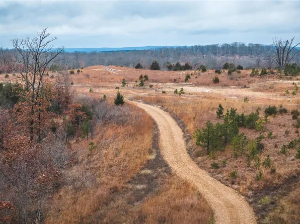 0 Ray Hicks Rd Tract 1, Viburnum, MO 65566