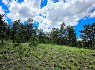 2528 Oxford Dr, Hartsel, CO 80449