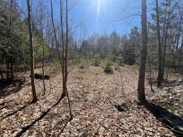 0 Route 23c, Tannersville, NY 12485