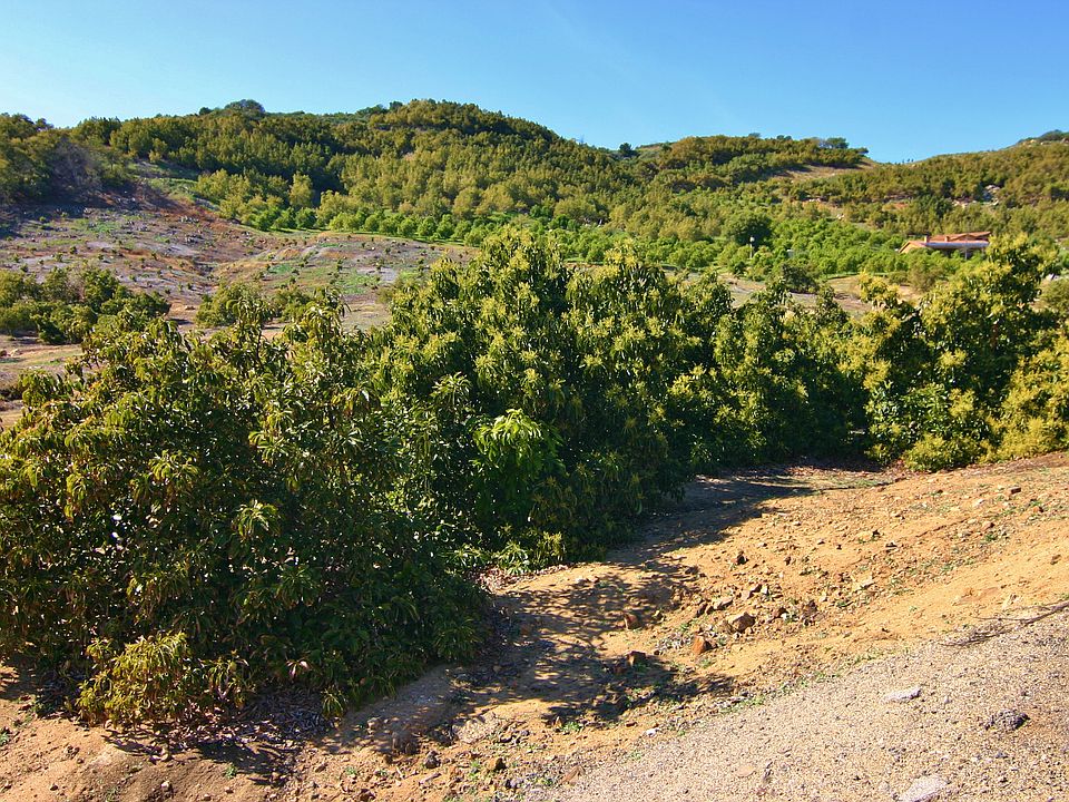 1st image of Calle Jardin