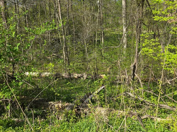 Lots 29 30 Suncrest Dr, Somerset, KY 42501