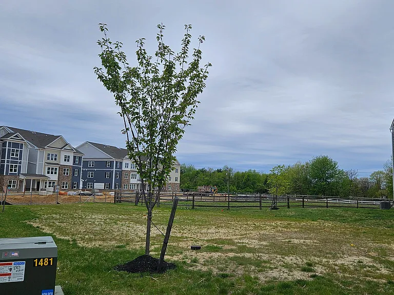 50 Peregrine Way — Photo 28
