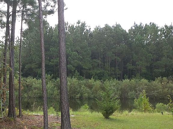 Backyard Pond