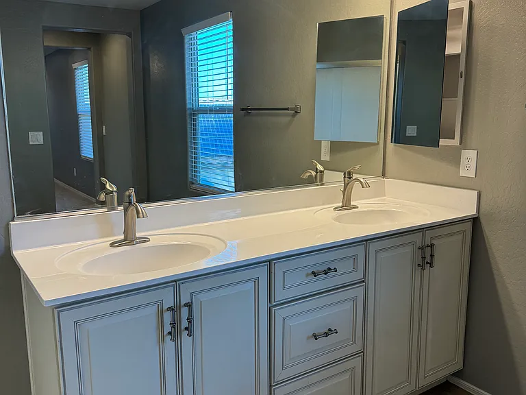 Main Bathroom Sinks