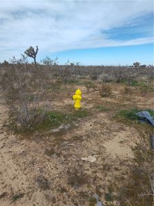 0 Buttemere Rd, Phelan, CA, 92371