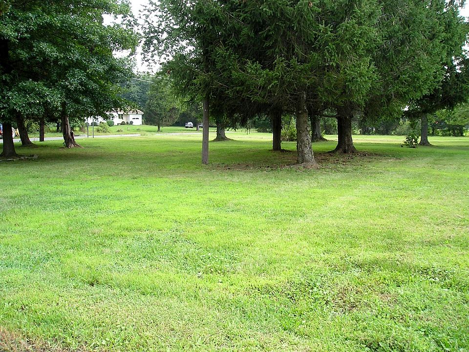 another view of yard