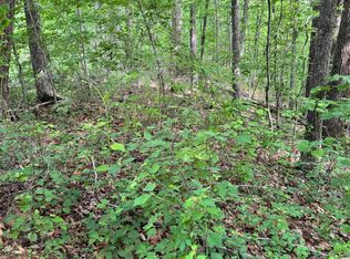 Prettiest Sunset Way LOT 5, Seymour, TN 37865