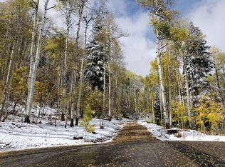 539 Long Story Rd, Durango, CO 81301