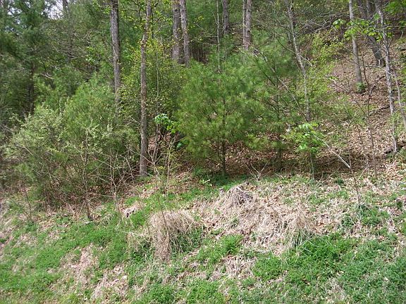 4th image of Lot 9a Spur Branch Road