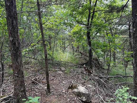2nd image of 000 Moore Bend Road