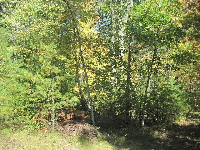 1st image of 19th Ct