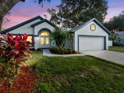 15905 Wainwright Ct, Tampa, FL, 33647