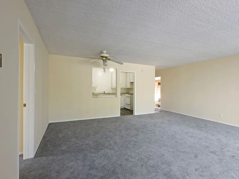 Lindley Apt — Photo 6