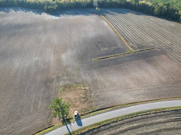 15.98 Acres-TBD Williamson Rd. #Tract 2, Hemingway, SC 29554