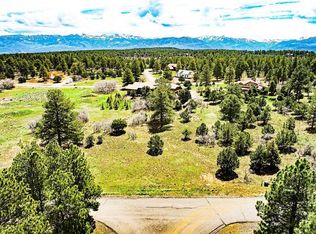 327 Bear Cub Dr, Ridgway, CO 81432